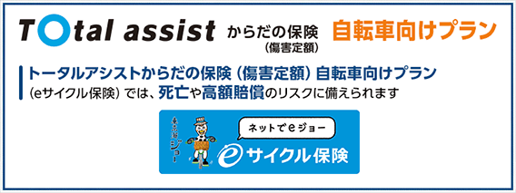 e�T�C�N���ی����o��